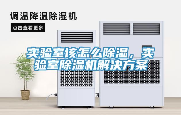實(shí)驗(yàn)室該怎么除濕，實(shí)驗(yàn)室除濕機(jī)解決方案