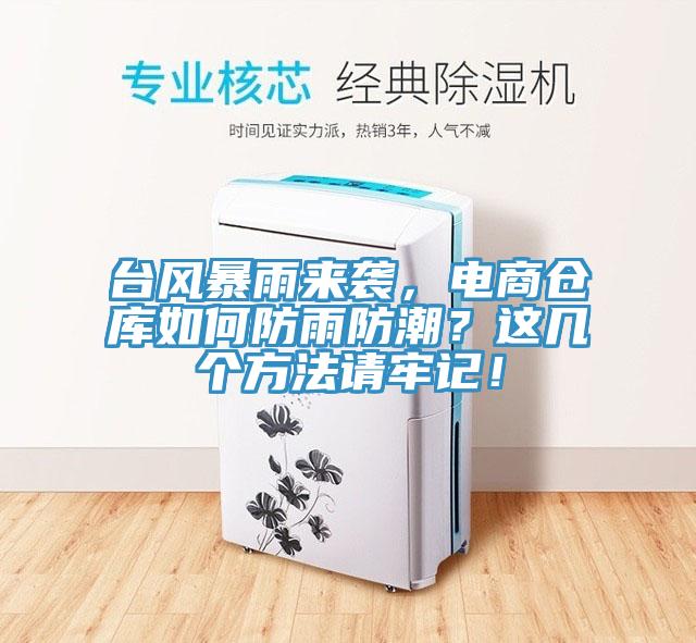 臺(tái)風(fēng)暴雨來襲，電商倉庫如何防雨防潮？這幾個(gè)方法請(qǐng)牢記！