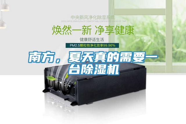 南方，夏天真的需要一臺除濕機