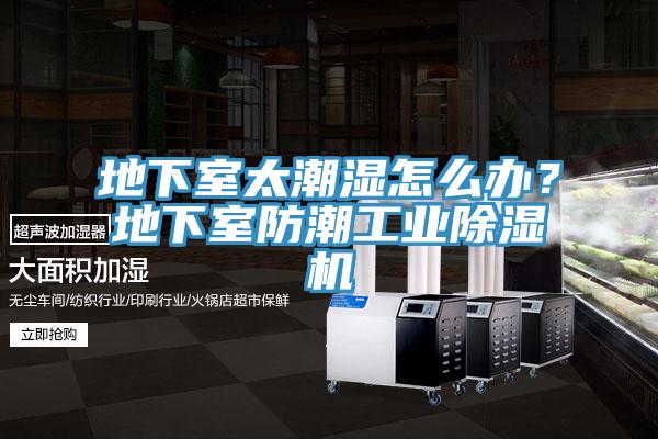 地下室太潮濕怎么辦？地下室防潮工業(yè)除濕機(jī)