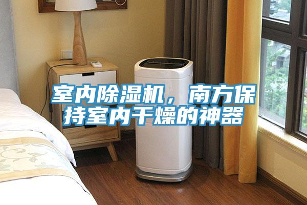 室內(nèi)除濕機(jī)，南方保持室內(nèi)干燥的神器