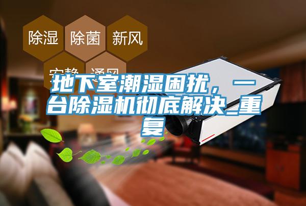 地下室潮濕困擾，一臺(tái)除濕機(jī)徹底解決_重復(fù)