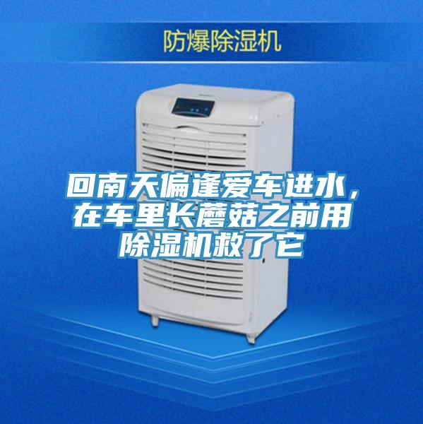 回南天偏逢愛(ài)車進(jìn)水，在車?yán)镩L(zhǎng)蘑菇之前用除濕機(jī)救了它