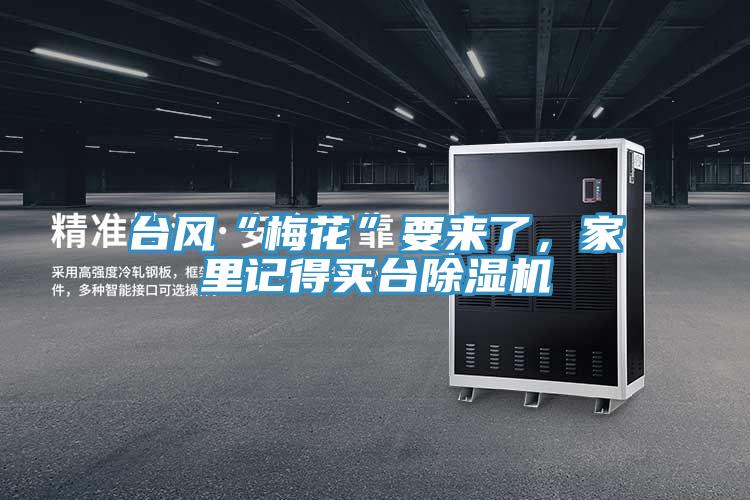 臺風(fēng)“梅花”要來了，家里記得買臺除濕機(jī)