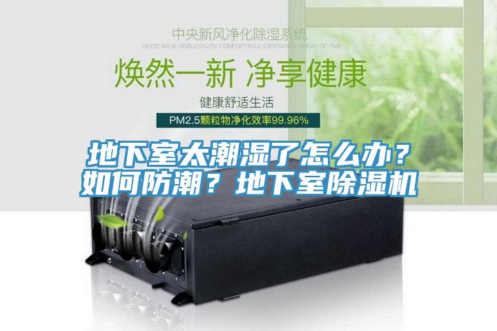 地下室太潮濕了怎么辦？如何防潮？地下室除濕機(jī)