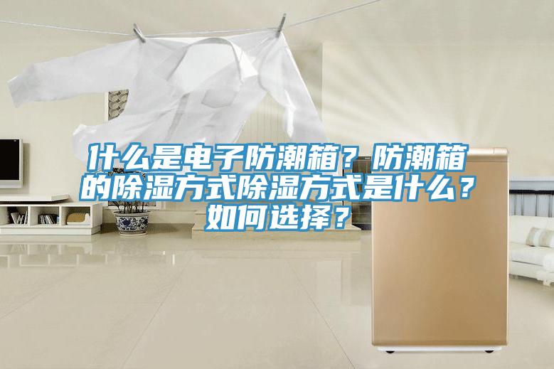 什么是電子防潮箱？防潮箱的除濕方式除濕方式是什么？如何選擇？
