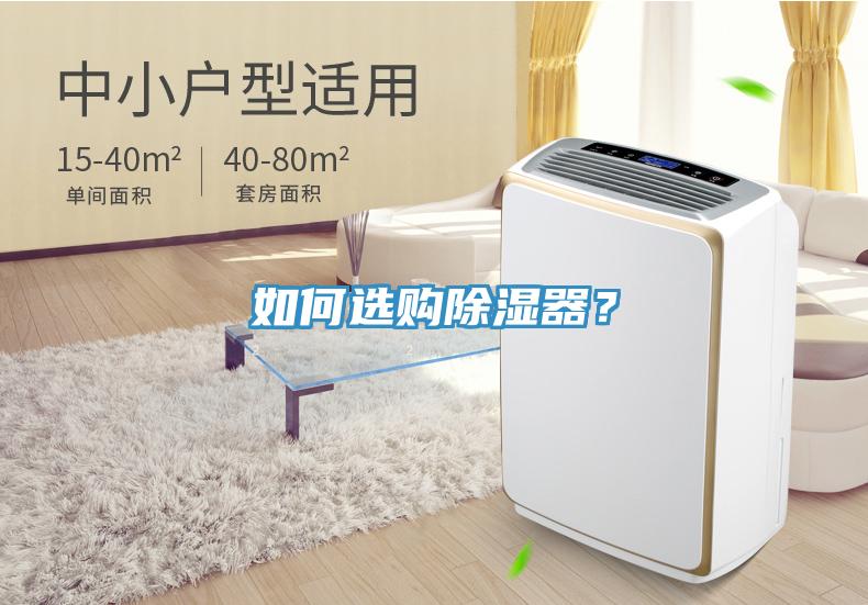 如何選購除濕器？