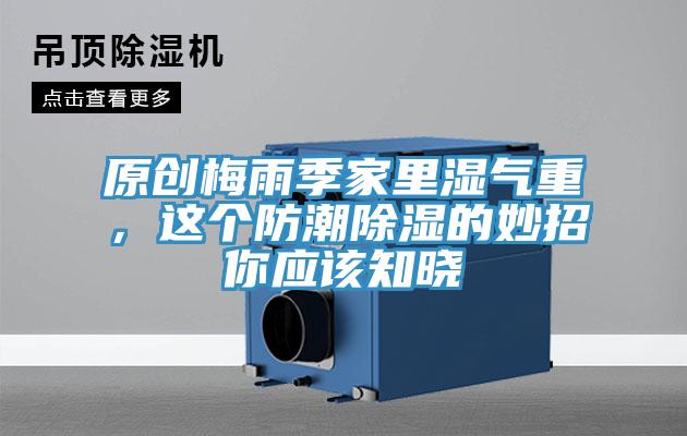 原創(chuàng)梅雨季家里濕氣重，這個防潮除濕的妙招你應該知曉