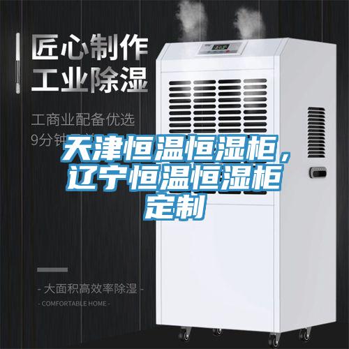 天津恒溫恒濕柜，遼寧恒溫恒濕柜定制
