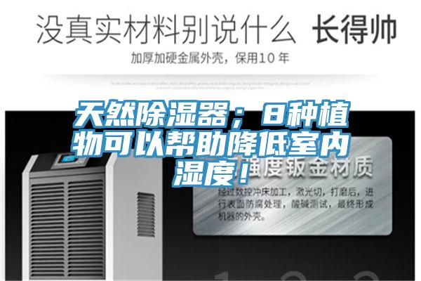 天然除濕器；8種植物可以幫助降低室內(nèi)濕度！