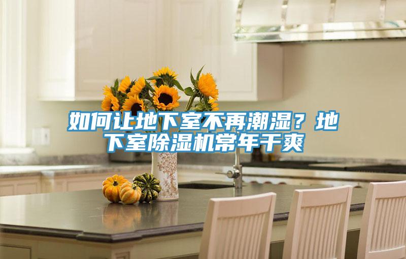如何讓地下室不再潮濕？地下室除濕機常年干爽