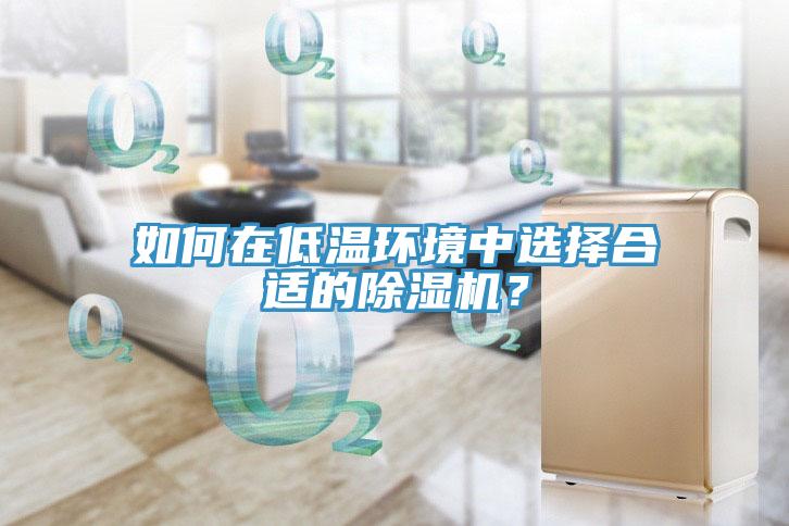 如何在低溫環(huán)境中選擇合適的除濕機？