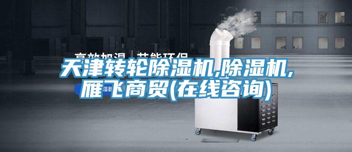 天津轉(zhuǎn)輪除濕機(jī),除濕機(jī),雁飛商貿(mào)(在線(xiàn)咨詢(xún))