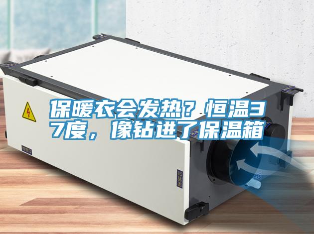 保暖衣會(huì)發(fā)熱？恒溫37度，像鉆進(jìn)了保溫箱
