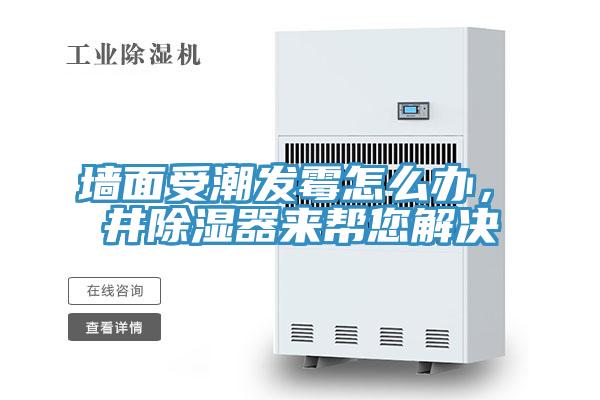 墻面受潮發(fā)霉怎么辦，東井除濕器來幫您解決