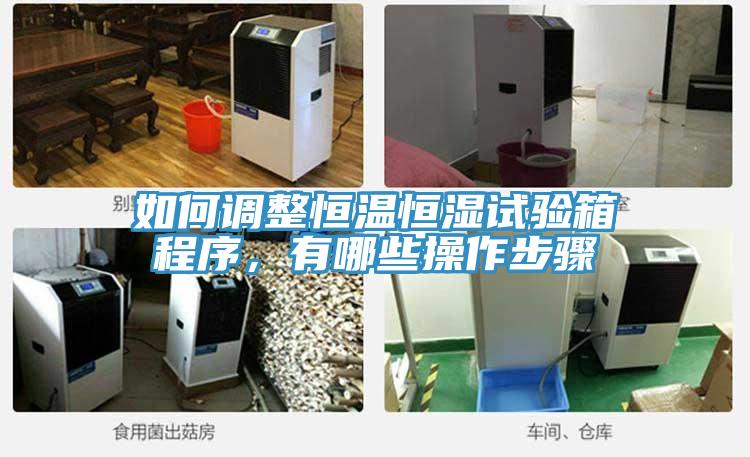 如何調(diào)整恒溫恒濕試驗箱程序，有哪些操作步驟