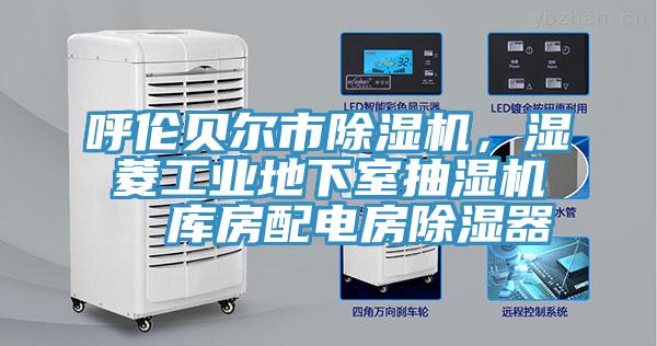 呼倫貝爾市除濕機，濕菱工業(yè)地下室抽濕機  庫房配電房除濕器