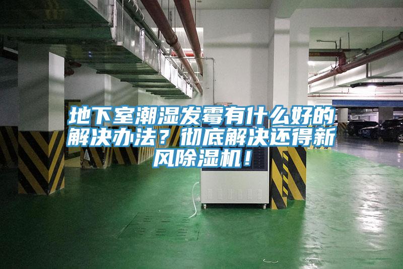 地下室潮濕發(fā)霉有什么好的解決辦法？徹底解決還得新風除濕機！