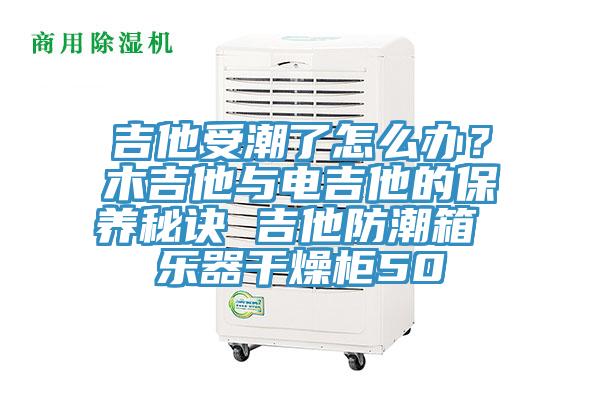 吉他受潮了怎么辦？木吉他與電吉他的保養(yǎng)秘訣 吉他防潮箱 樂器干燥柜50