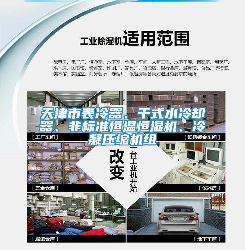 天津市表冷器、干式水冷卻器、非標(biāo)準(zhǔn)恒溫恒濕機(jī)、冷凝壓縮機(jī)組