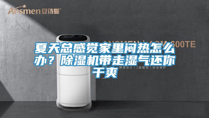 夏天總感覺家里悶熱怎么辦？除濕機帶走濕氣還你干爽