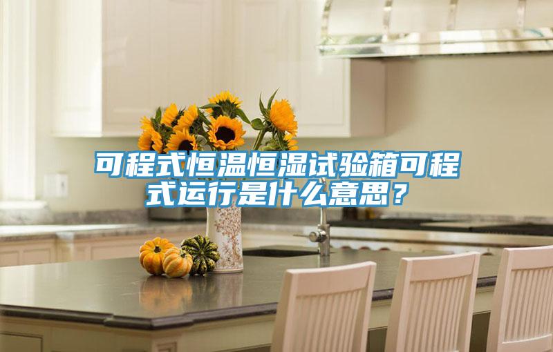 可程式恒溫恒濕試驗箱可程式運行是什么意思？
