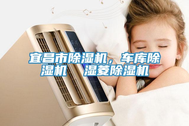 宜昌市除濕機，車庫除濕機  濕菱除濕機