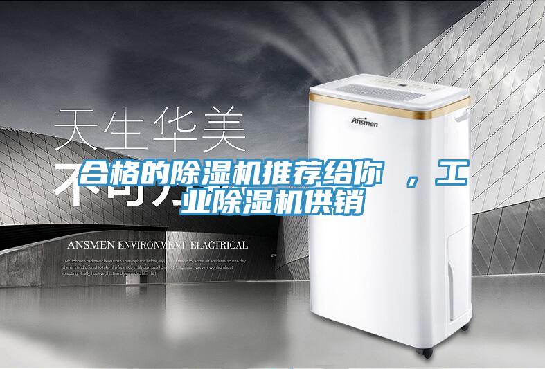 合格的除濕機(jī)推薦給你 ，工業(yè)除濕機(jī)供銷