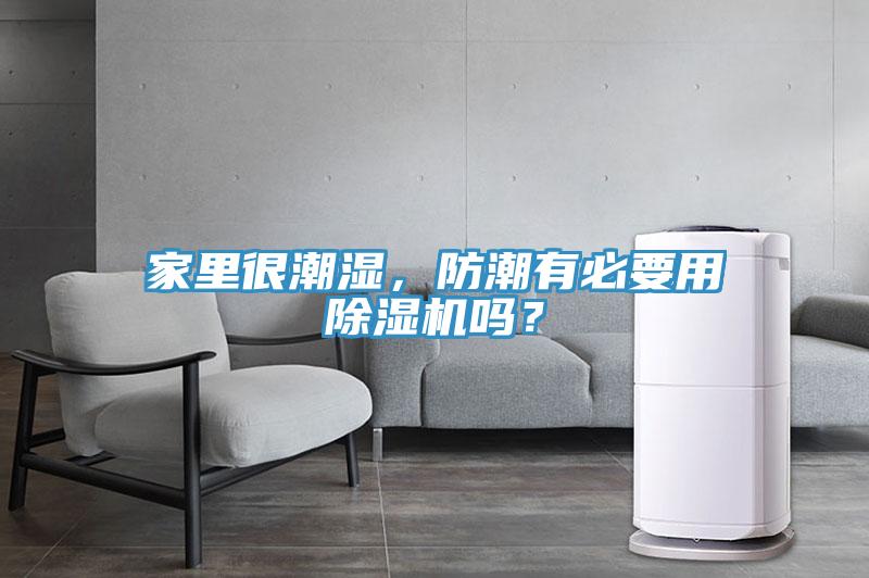 家里很潮濕，防潮有必要用除濕機嗎？