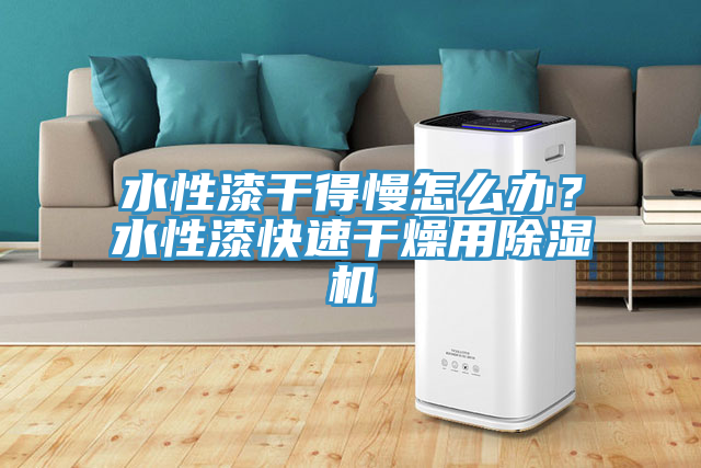 水性漆干得慢怎么辦？水性漆快速干燥用除濕機(jī)