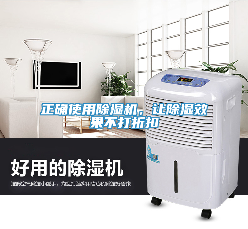 正確使用除濕機，讓除濕效果不打折扣