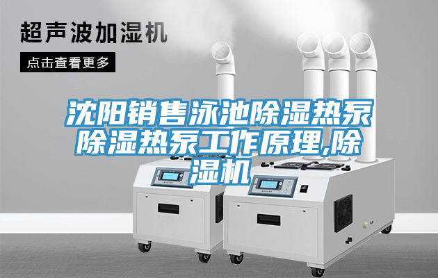 沈陽(yáng)銷(xiāo)售泳池除濕熱泵除濕熱泵工作原理,除濕機(jī)
