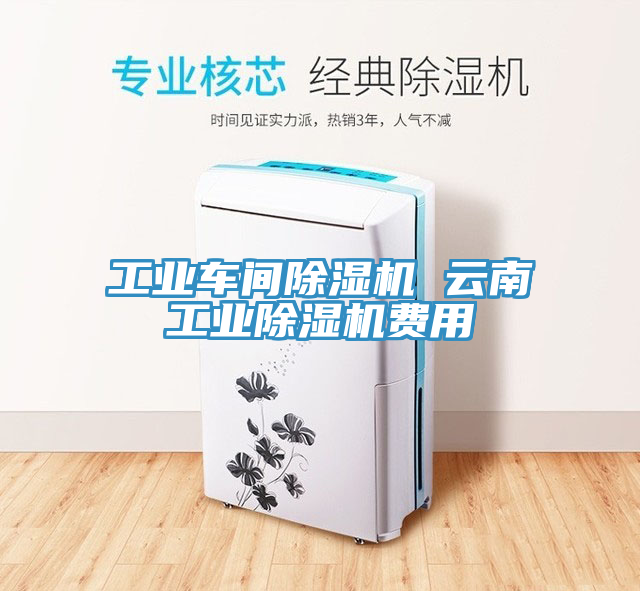 工業(yè)車間除濕機(jī) 云南工業(yè)除濕機(jī)費用