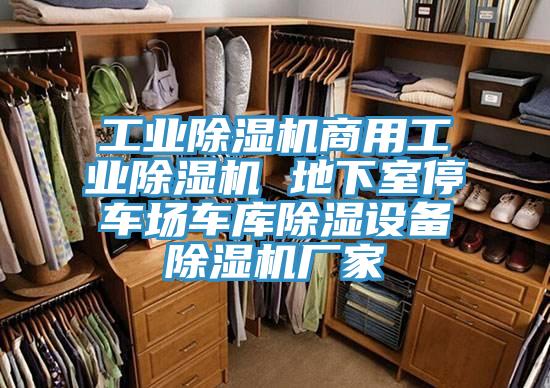 工業(yè)除濕機商用工業(yè)除濕機 地下室停車場車庫除濕設備除濕機廠家