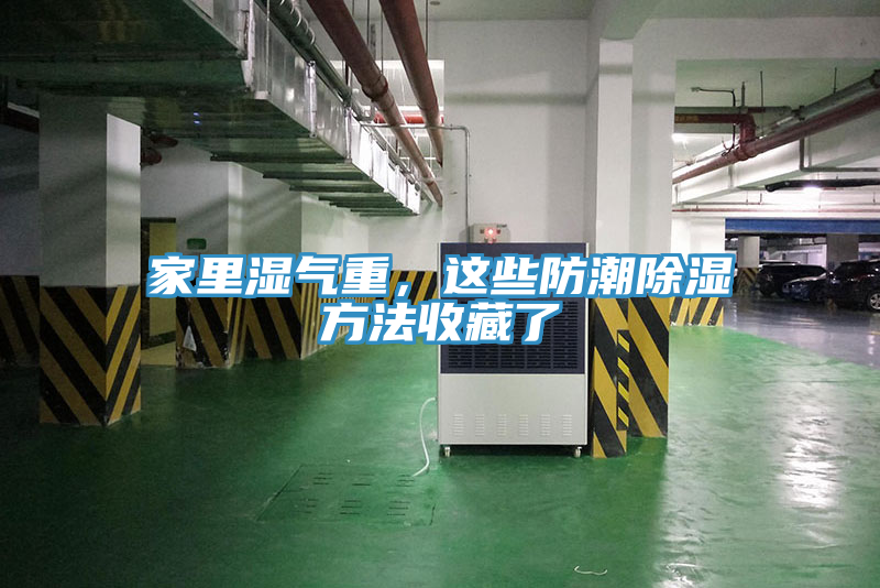 家里濕氣重，這些防潮除濕方法收藏了