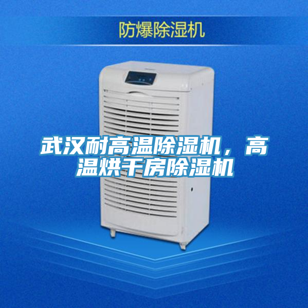 武漢耐高溫除濕機(jī)，高溫烘干房除濕機(jī)