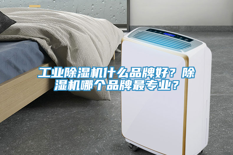 工業(yè)除濕機什么品牌好？除濕機哪個品牌最專業(yè)？