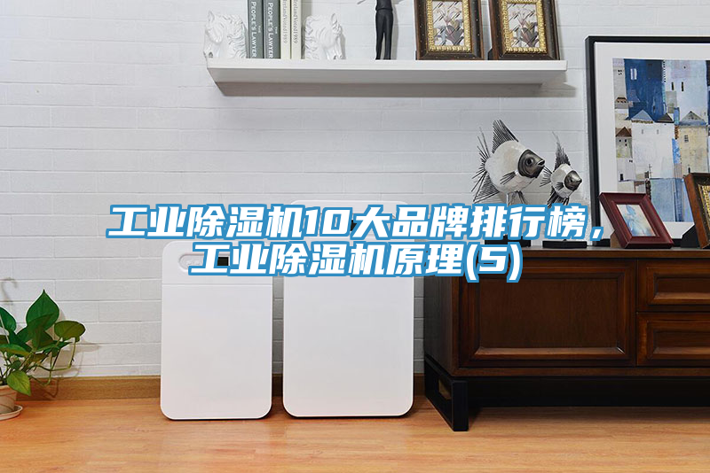 工業(yè)除濕機10大品牌排行榜，工業(yè)除濕機原理(5)