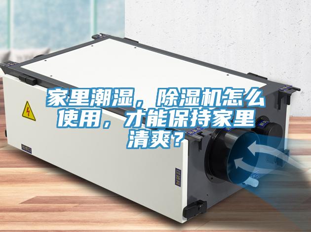 家里潮濕，除濕機(jī)怎么使用，才能保持家里清爽？