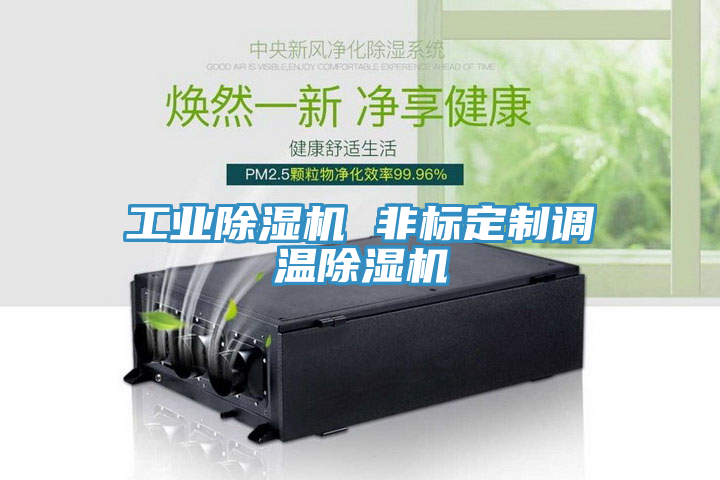 工業(yè)除濕機 非標定制調(diào)溫除濕機