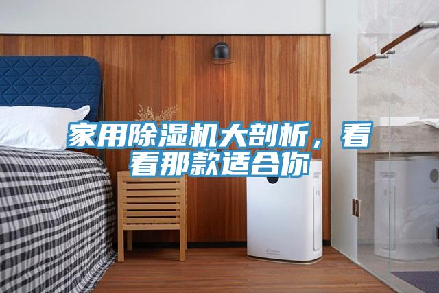 家用除濕機(jī)大剖析，看看那款適合你