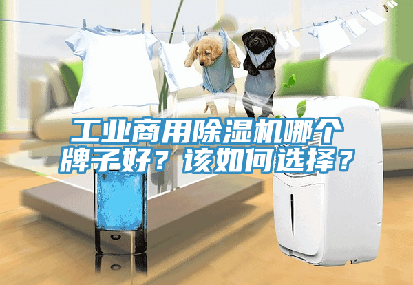 工業(yè)商用除濕機(jī)哪個(gè)牌子好？該如何選擇？