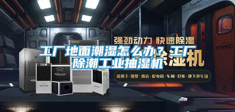 工廠地面潮濕怎么辦？工廠除潮工業(yè)抽濕機