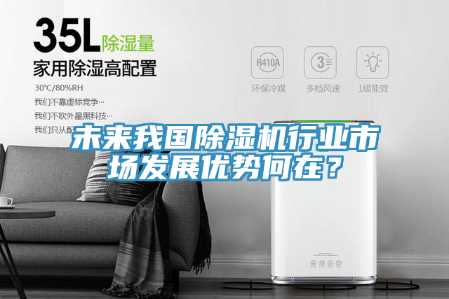 未來(lái)我國(guó)除濕機(jī)行業(yè)市場(chǎng)發(fā)展優(yōu)勢(shì)何在？