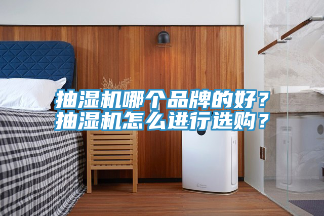 抽濕機哪個品牌的好？抽濕機怎么進行選購？