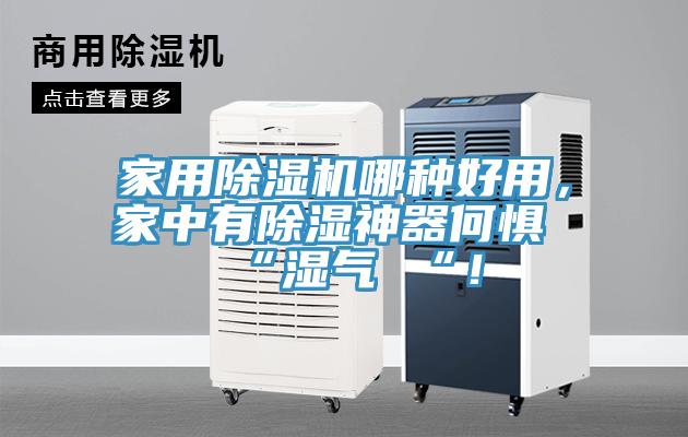 家用除濕機(jī)哪種好用，家中有除濕神器何懼 “濕氣 “！
