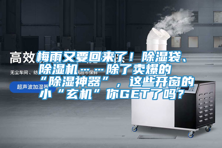 梅雨又要回來了！除濕袋、除濕機……除了賣爆的“除濕神器”，這些開窗的小“玄機”你GET了嗎？