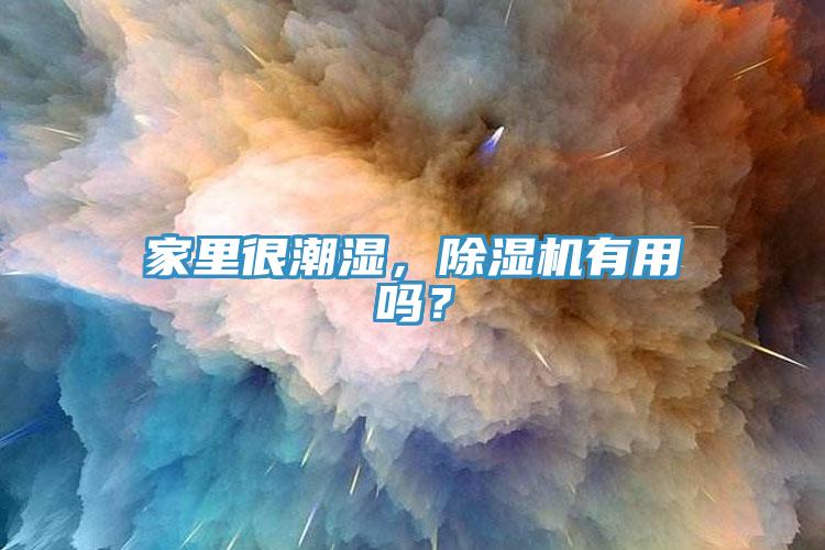 家里很潮濕，除濕機(jī)有用嗎？