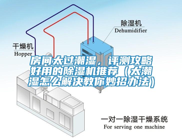 房間太過(guò)潮濕，評(píng)測(cè)攻略好用的除濕機(jī)推薦（太潮濕怎么解決教你妙招辦法）
