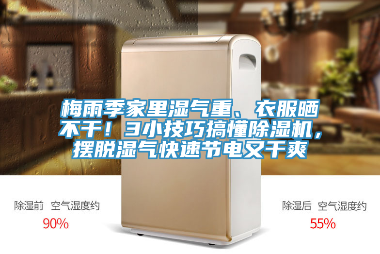 梅雨季家里濕氣重、衣服曬不干！3小技巧搞懂除濕機，擺脫濕氣快速節(jié)電又干爽